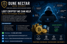 Best bitcoin recovery 2026.png