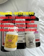 56272721-b475-479e-afa4-77a94bd24bc9.jpg