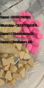 IMG_20260227_010603_329.jpg