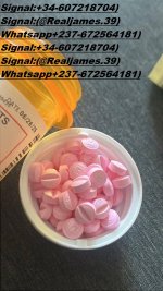 5397d736-b8d7-4c60-826b-1cc4f7ae7479.jpg