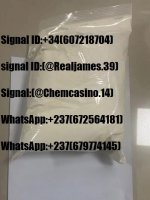 WhatsApp-Image-2023-08-03-at-12.58-3-510x678.jpg
