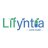 lifyntia65